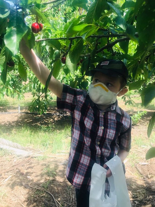Cherry Picking Brentwood, CA Jordan & Jacob's Adventures
